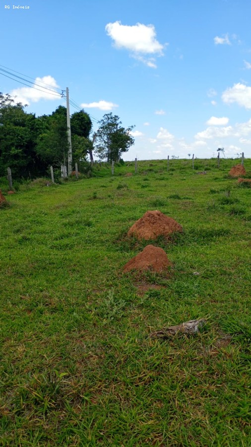 Terreno, 2 hectares - Foto 1