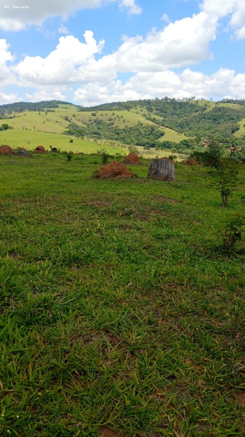 Terreno, 2 hectares - Foto 2