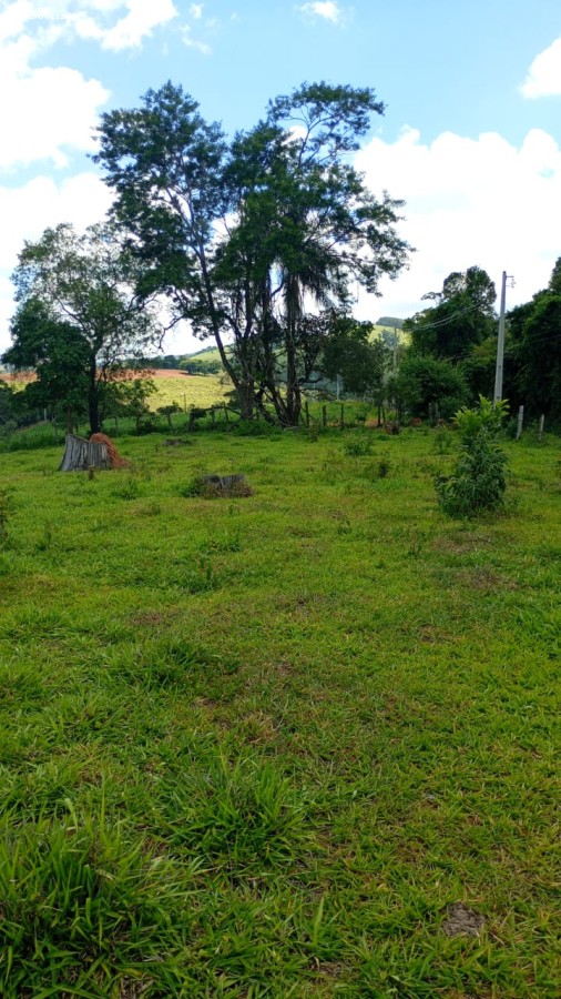 Terreno, 2 hectares - Foto 4