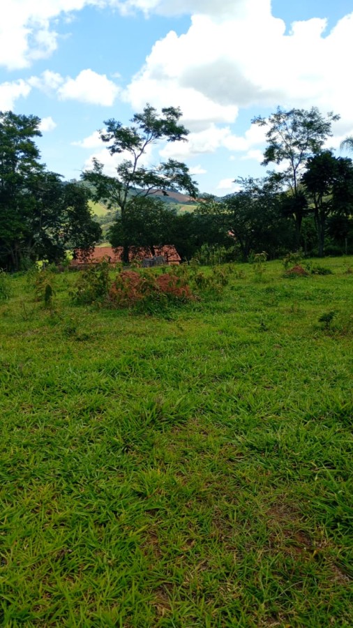 Terreno, 2 hectares - Foto 3