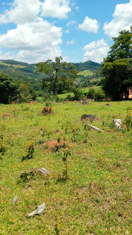 Terreno, 2 hectares - Foto 6
