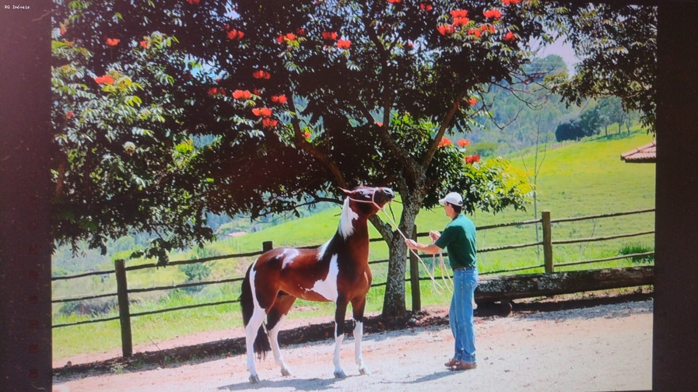 Fazenda, 4 quartos - Foto 17