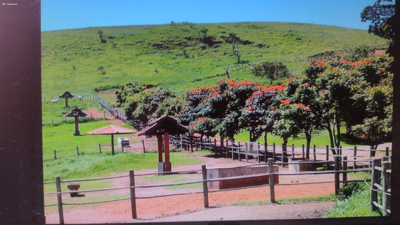 Fazenda, 4 quartos - Foto 21