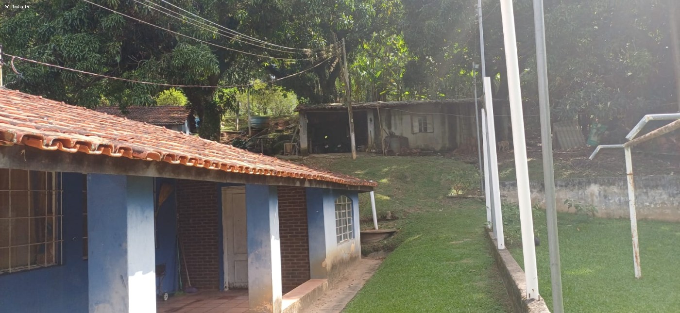 Fazenda, 14 hectares - Foto 7