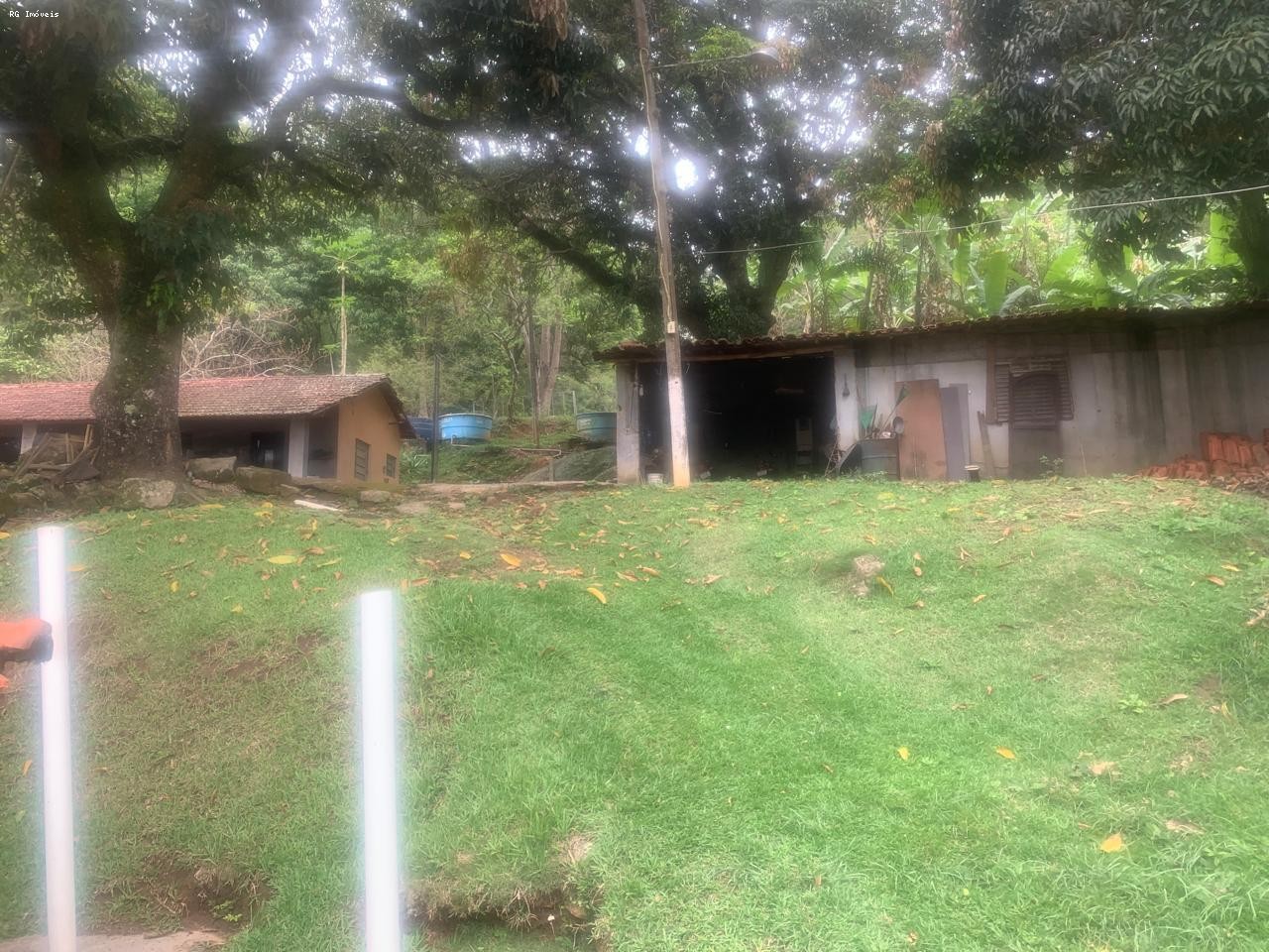 Fazenda, 14 hectares - Foto 9