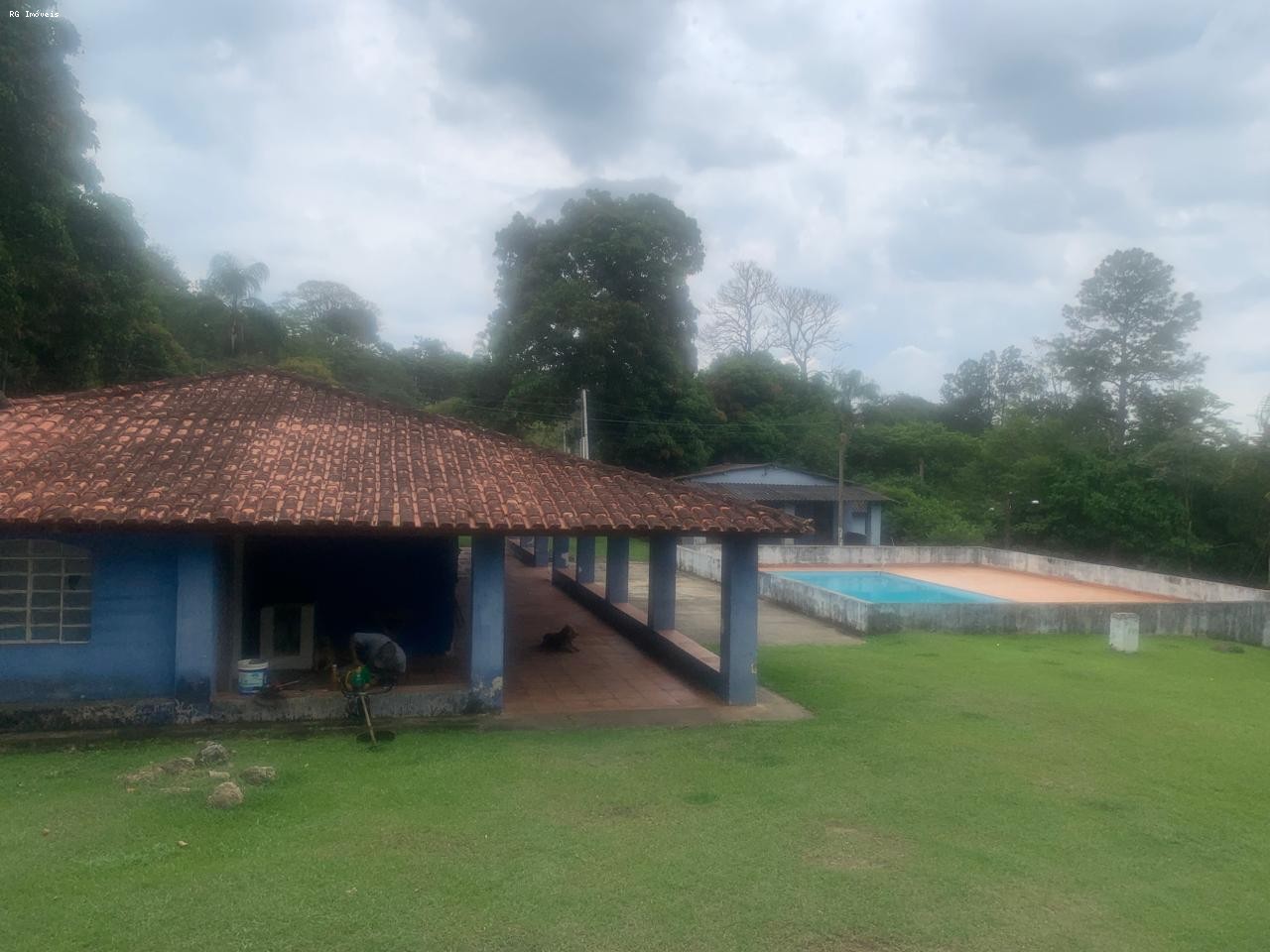 Fazenda, 14 hectares - Foto 10
