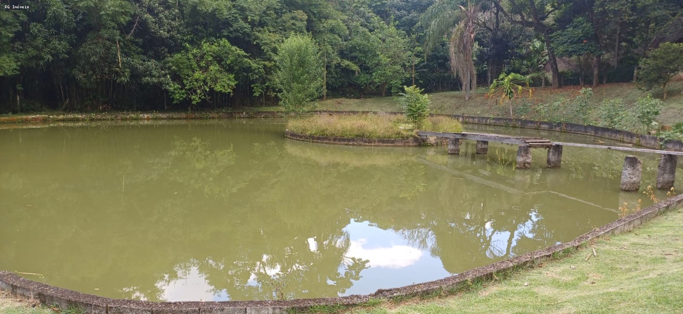 Fazenda, 14 hectares - Foto 11