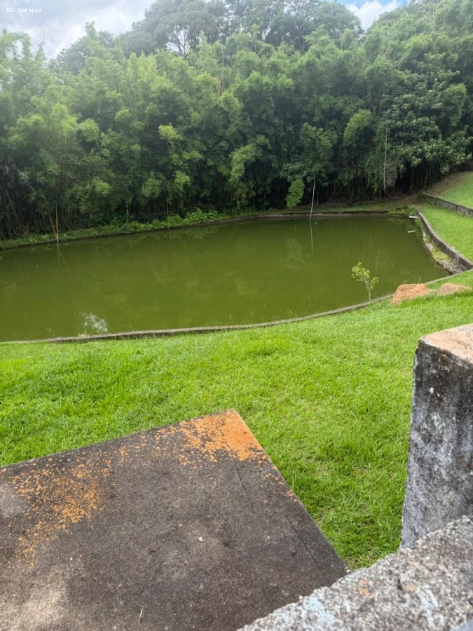 Fazenda, 14 hectares - Foto 14