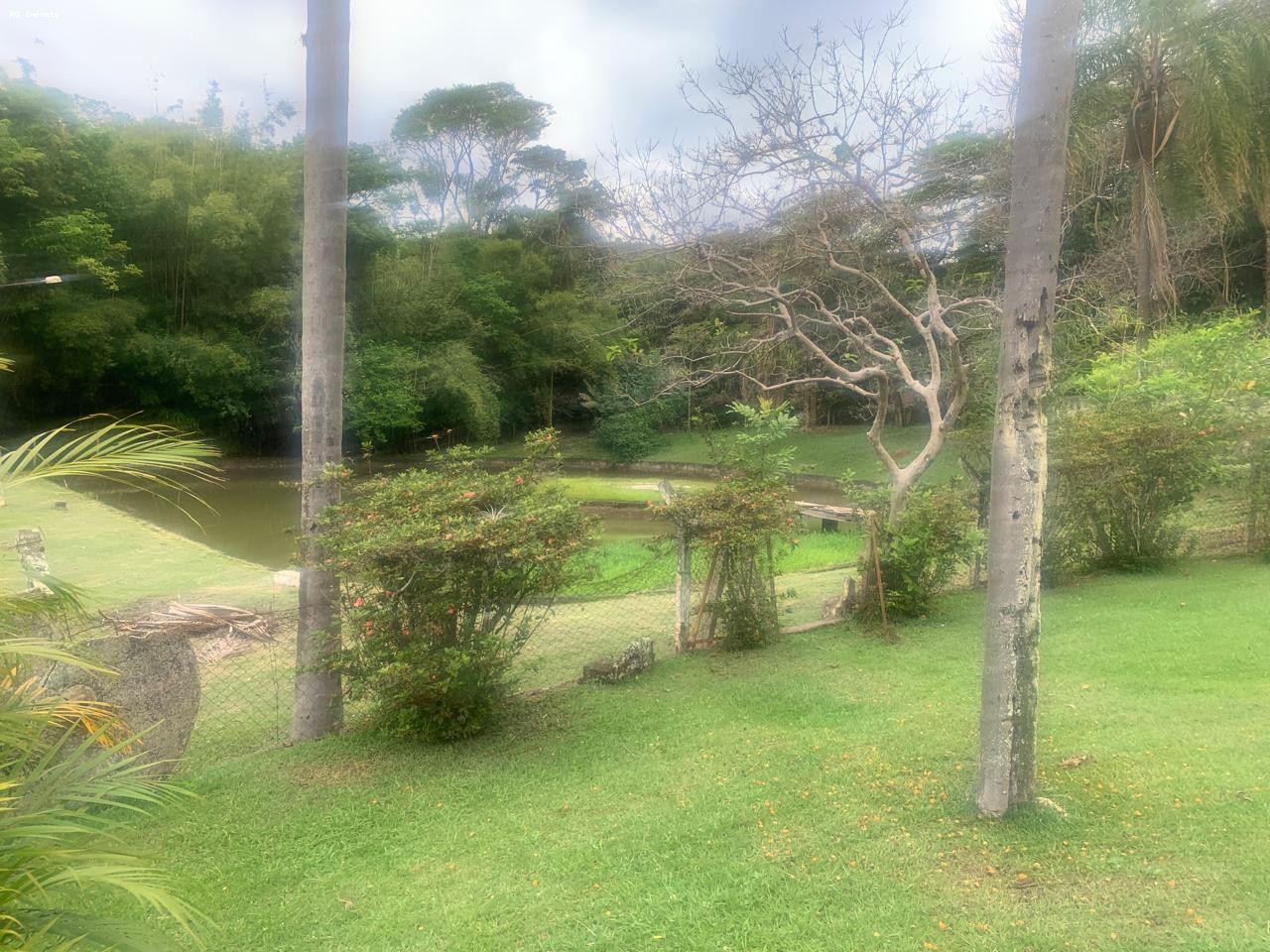 Fazenda, 14 hectares - Foto 17