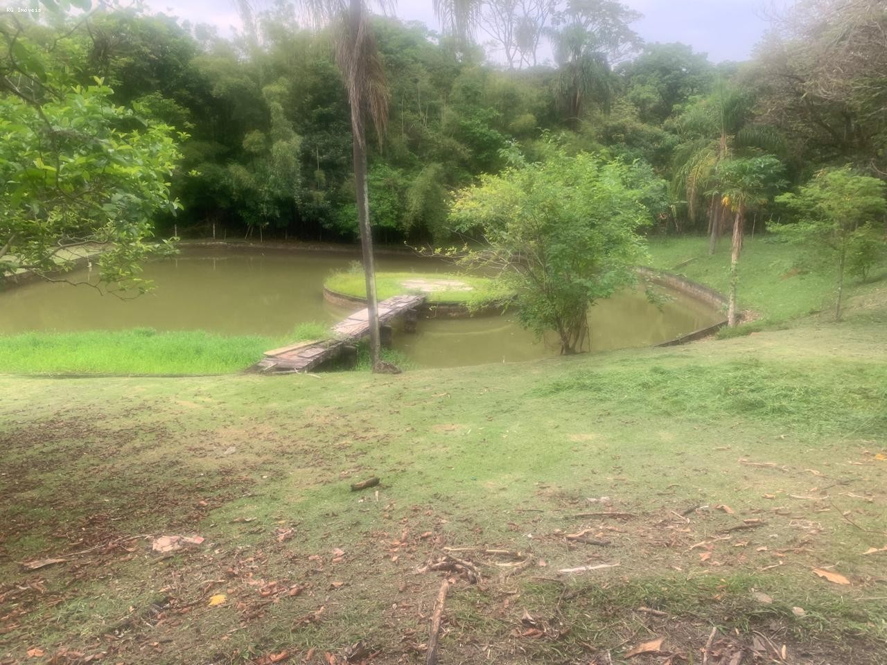 Fazenda, 14 hectares - Foto 16
