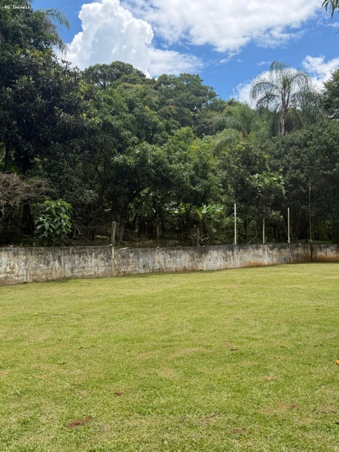 Fazenda, 14 hectares - Foto 22
