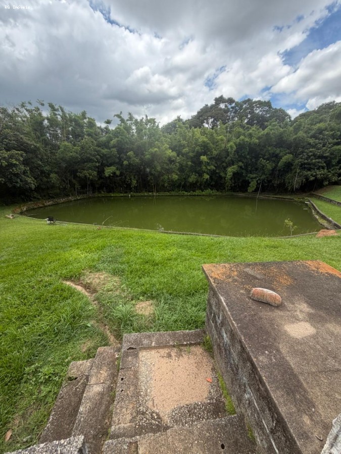 Fazenda, 14 hectares - Foto 19