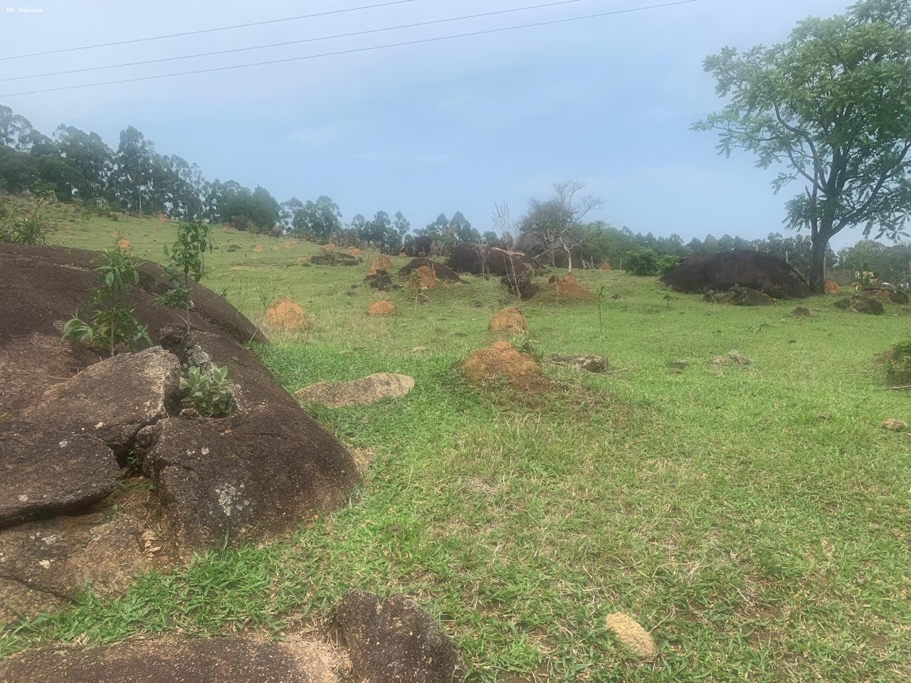 Fazenda, 14 hectares - Foto 38
