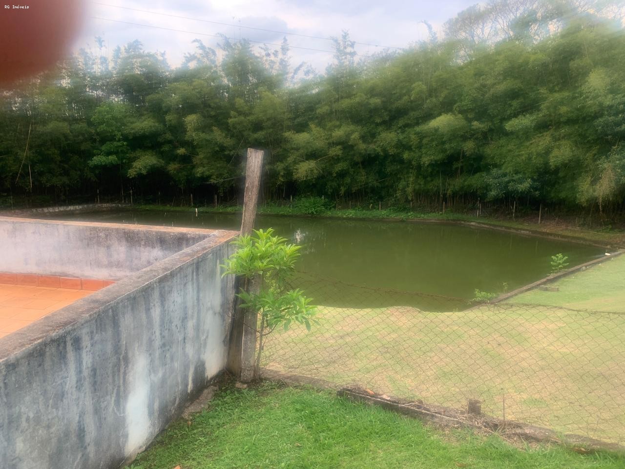 Fazenda, 14 hectares - Foto 39