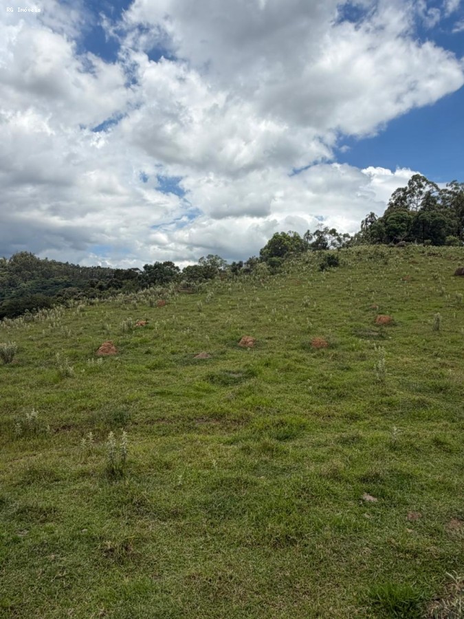 Fazenda, 14 hectares - Foto 40
