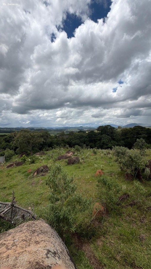 Fazenda, 14 hectares - Foto 41