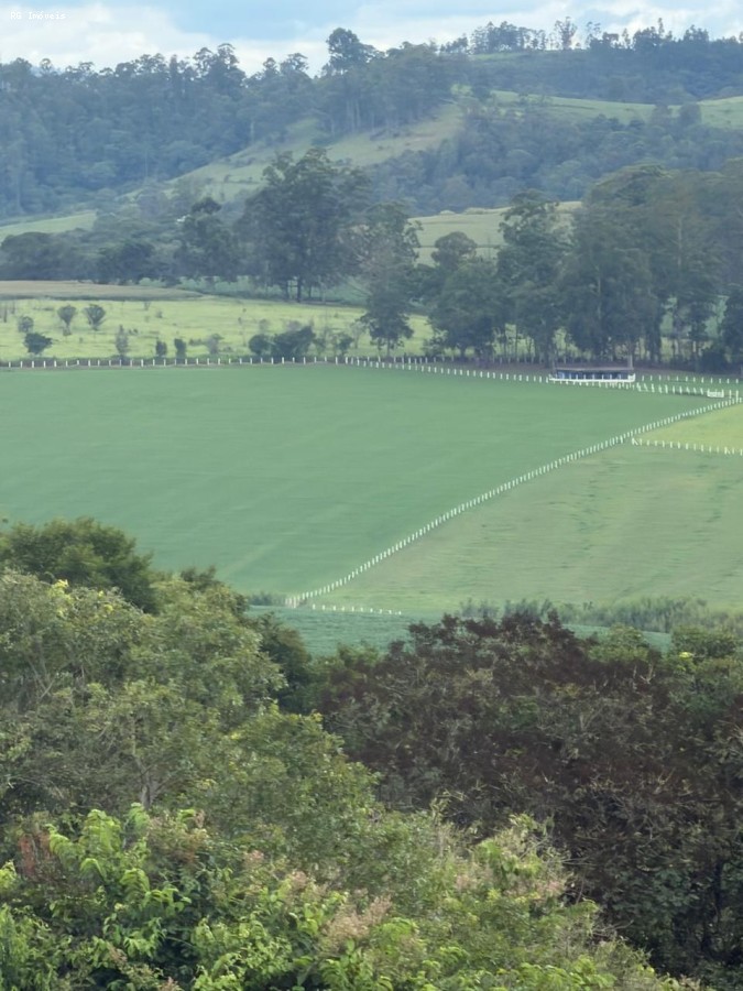 Fazenda, 14 hectares - Foto 43